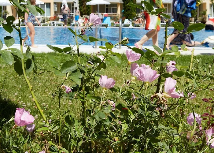 Luxury First Line With Pool By The Sea Lejlighed *