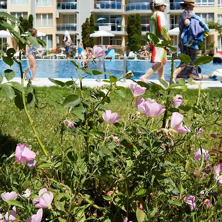 Luxury First Line With Pool By The Sea Διαμέρισμα *